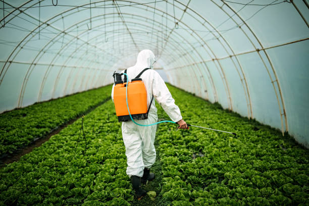 Best Affordable Pest Control Services  in Garrett, WA