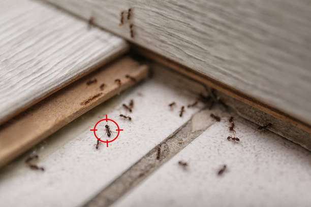 Best Pest Inspection Near Me  in Garrett, WA