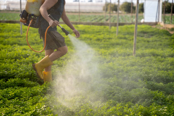Best Pest Control Near Me in Garrett, WA