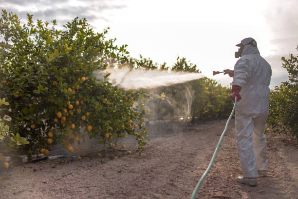 Best Affordable Pest Control Services  in Garrett, WA
