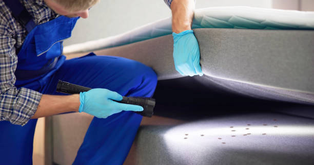 Best Ant Control Services  in Garrett, WA