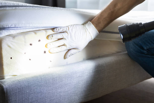 Best Mosquito Control Services  in Garrett, WA
