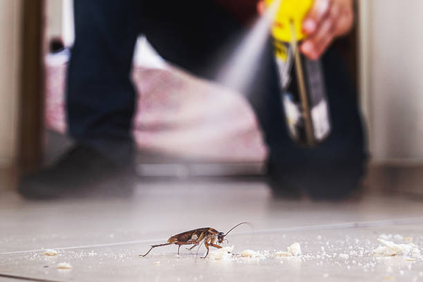 Reliable Garrett, WA Pest Control Solutions
