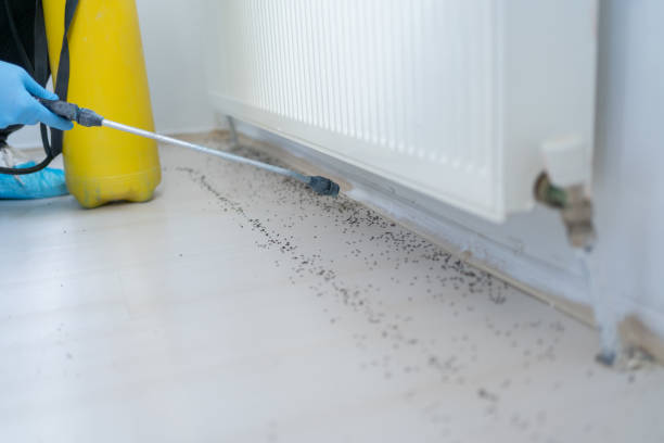 Best Local Pest Control Services  in Garrett, WA