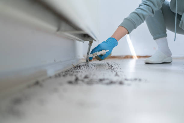 Best Pest Prevention Services  in Garrett, WA