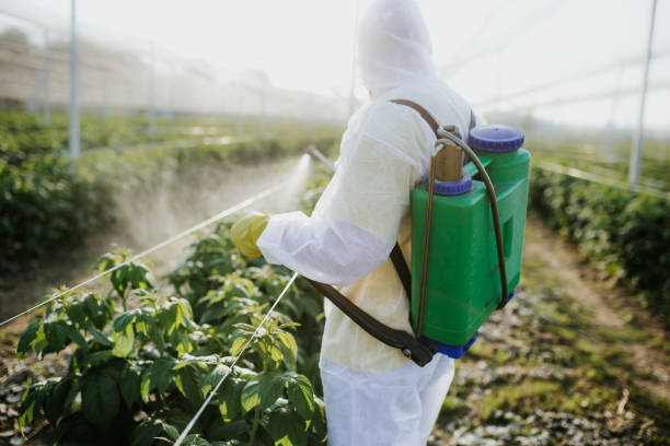 Best Rat Extermination Near Me  in Garrett, WA